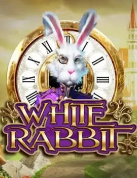 White Rabbit demo